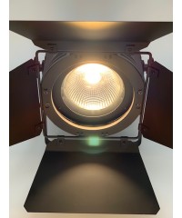 LED прожектор STLS Par COB 200w White Warm